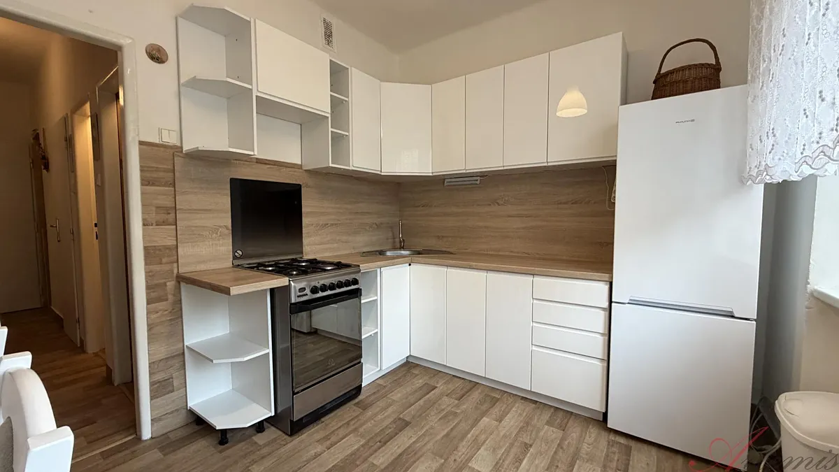 Pronájem bytu 1+1 43 m²